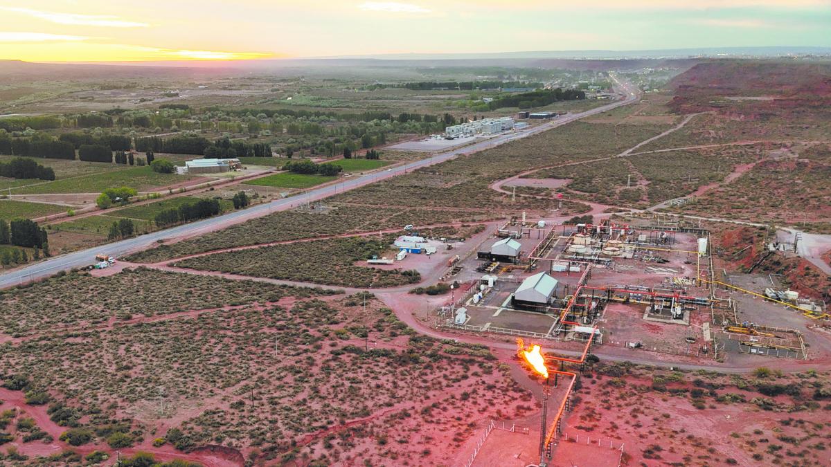 Grupo Gilinski entra en Vaca Muerta con inversión de 107 mdd