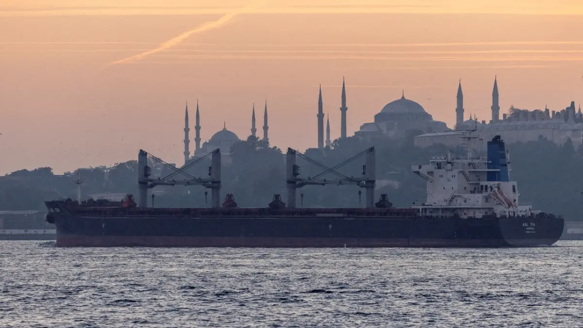 Un barco de propiedad turca es autorizado para atravesar el estrecho de Ormuz