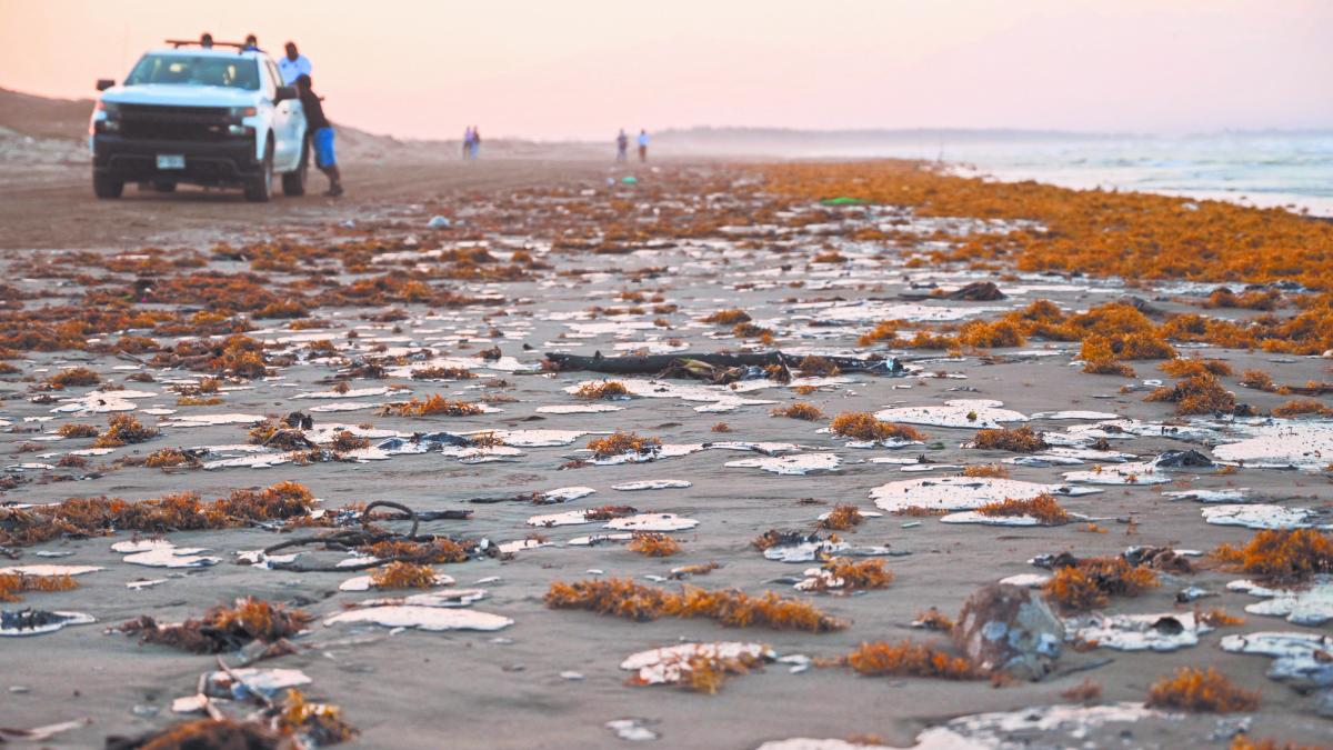 Empresa privada causó derrame de crudo en Veracruz