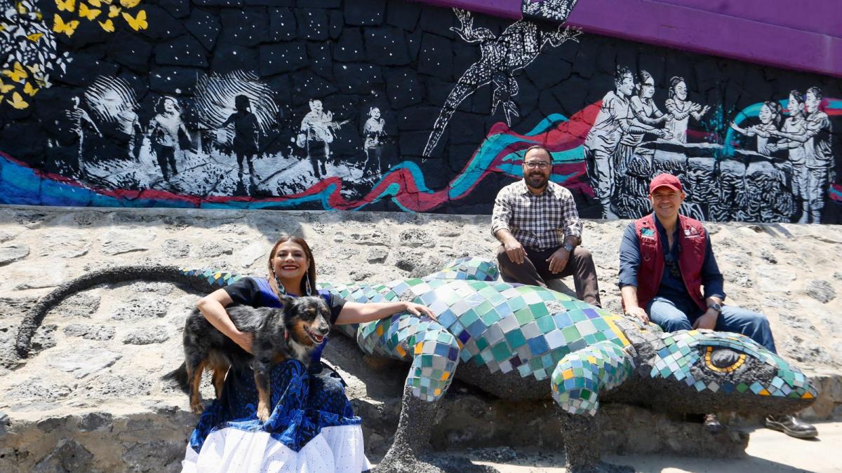 Inaugura Clara Brugada Jardín de lluvia en Coapa; esta obra captará agua y mitigará inundaciones