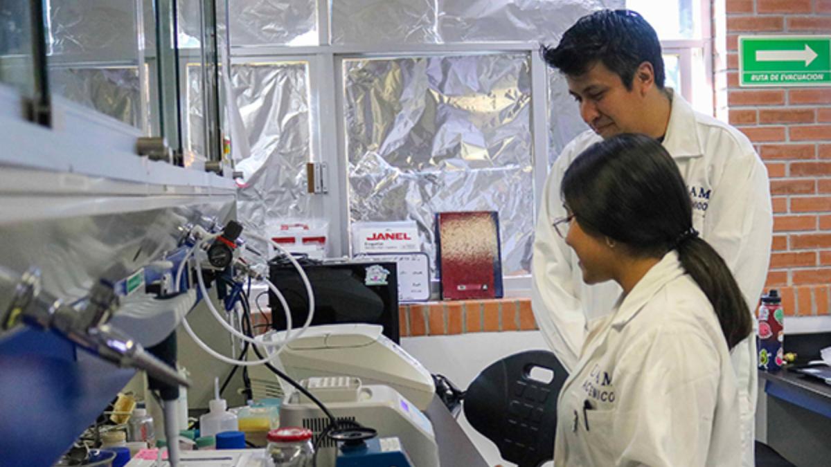 UNAM realiza rastreo celular para entender y diagnosticar enfermedades autoinmunes raras