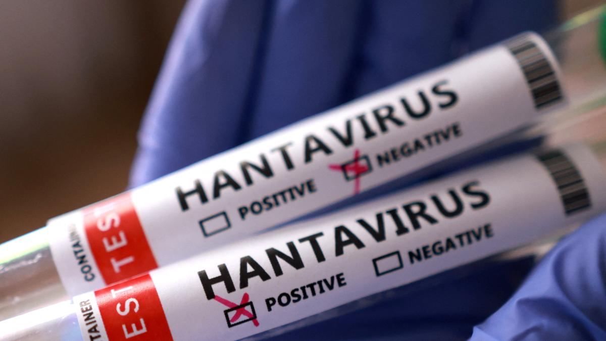 Jefe de la OMS viaja a Canarias para coordinar evacuación de crucero afectado por hantavirus