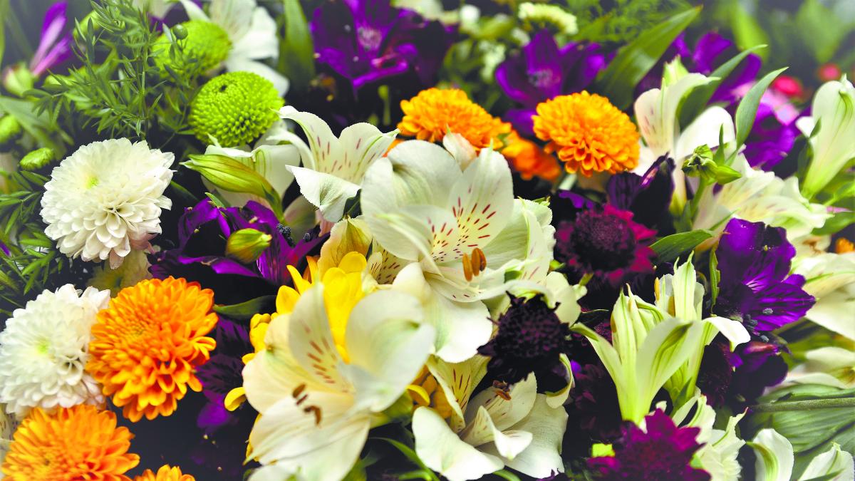 Flores mexiquenses abren paso a mercados internacionales