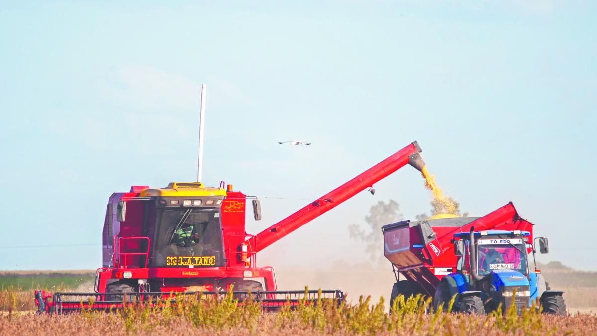 Agro y minería apuntalan avance de la economía argentina