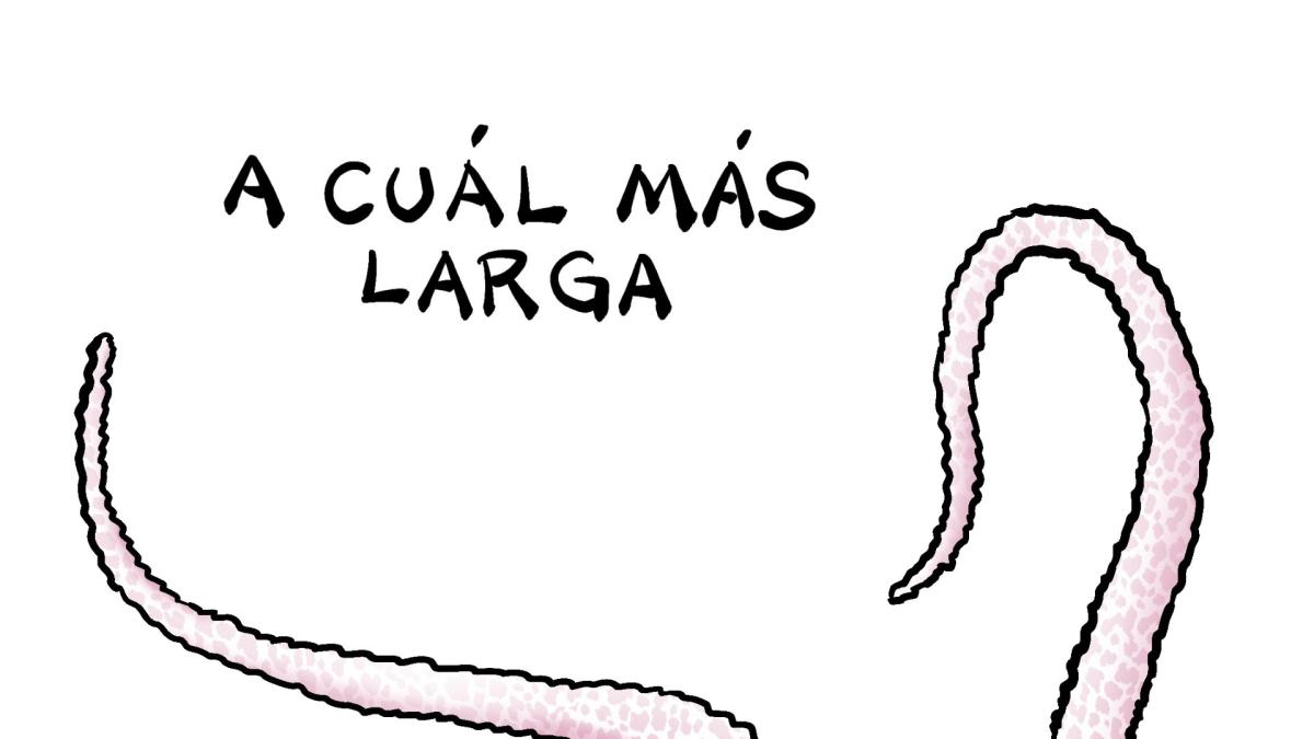 Tocayas