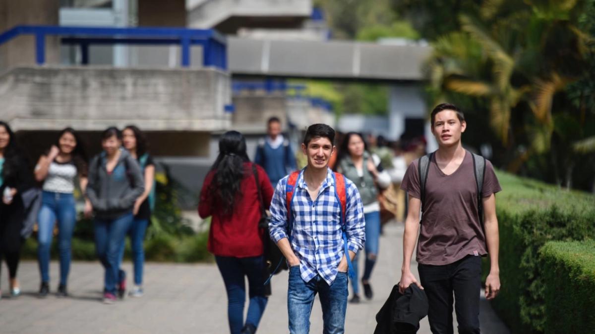La tasa de desempleo juvenil mundial aumentó el año pasado: ONU