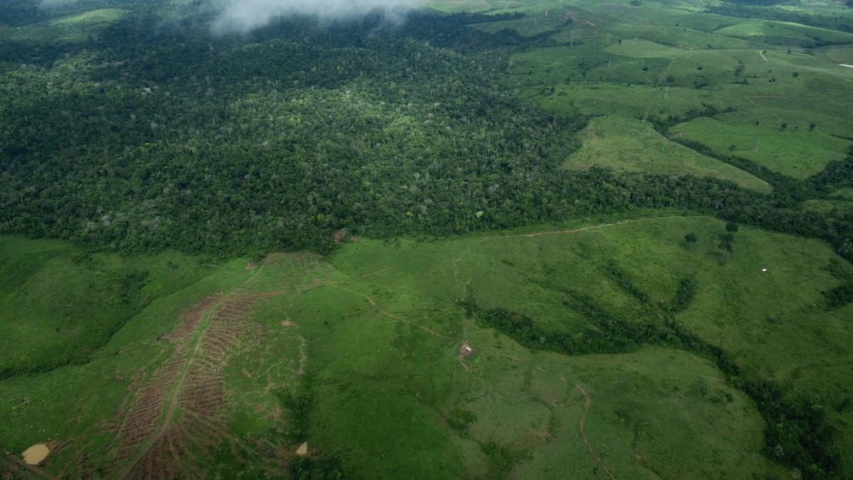 La deforestación en la Amazonía brasileña cae a su nivel más bajo desde 1988