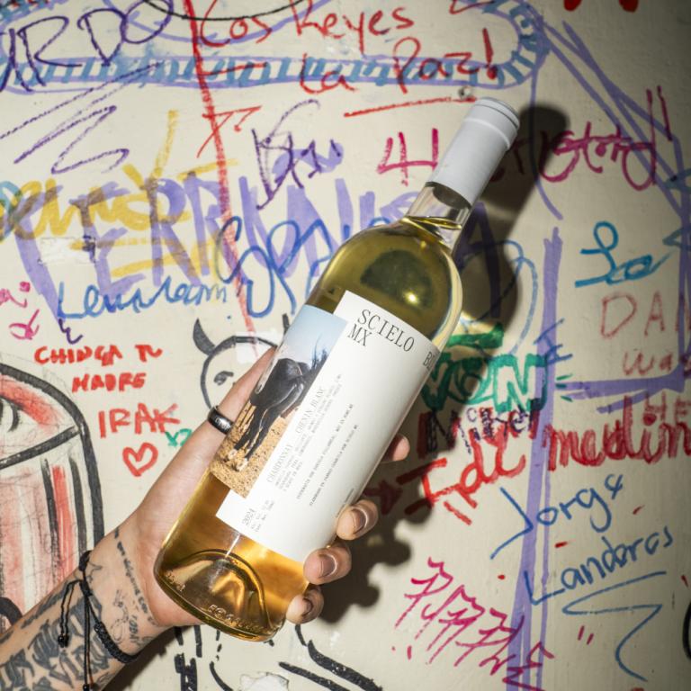 Vinos en Terruño