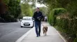 Peter Mandelson pasea con su perro.