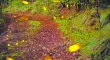 Luciérnagas, haciendas y comunidad revelan en Nanacamilpa una experiencia donde naturaleza y tradición iluminan el viaje.
