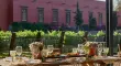 Chardonnay, Macabeo y Syrah crecen en Hacienda Galindo y dan origen a vinos que llevan el paisaje queretano hasta cada copa.