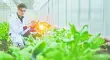 Genética e IA aceleran la selección de semillas capaces de responder a condiciones agrícolas cada vez más complejas.