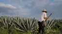 El Economista