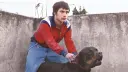 El Economista