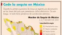 El Economista