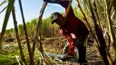 El Economista