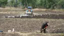 El Economista