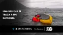 El Economista