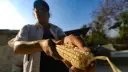 El Economista
