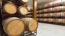 El Economista
