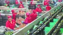 El Economista