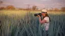 El Economista