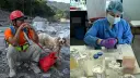 El Economista