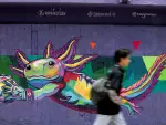 Un joven pasa junto a un muro con una imagen del ajolote pintado en un muro de la Ciudad de México. Su uso en imágenes públicas con motivo de la Copa Mundial de la FIFA 2026 ha generado división entre los residentes, quienes afirman que se debe hacer más para proteger su hábitat.