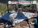 Fueron 16.8 toneladas de metanfetamina que estaban en laboratorios clandestinos.