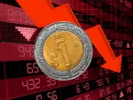 El Economista