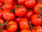 Tomate bola, cherry y saladette: los tres jitomates mexicanos más consumidos en Estados Unidos. Se cultivan en Sinaloa, Jalisco y Sonora y son clave en la dieta y economía binacional.

Para más información del tema, visita: https://www.eleconomista.com.mx/bistronomie/jitomates-mexicanos-comen-estados-unidos-tres-favoritos-20250723-769311.html

¡Síguenos en nuestras redes sociales para mantenerte informado!

Twitter: https://twitter.com/eleconomista 
Facebook: https://www.facebook.com/ElEconomista.mx
Instagram: https://www.instagram.com/eleconomistamx
LinkedIn: https://www.linkedin.com/company/el-economista/

#ElEconomista #EETV #Jitomate