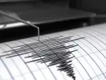 La información preliminar del Sismológico Nacional destaca que la magnitud del sismo fue de 6.5.

¡Síguenos en nuestras redes sociales para mantenerte informado!

Twitter: https://twitter.com/eleconomista 
Facebook: https://www.facebook.com/ElEconomista.mx
Instagram: https://www.instagram.com/eleconomistamx
LinkedIn: https://www.linkedin.com/company/el-economista/

#ElEconomista #EETV