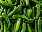 Chile serrano
