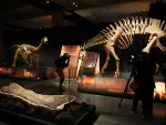 Exposición 'Dinosaurios de la Patagonia', en Sevilla. 'Presentación de 'Dinosaurios de la Patagonia', una exposición desarrollada por el Museo Paleontológico Egidio Feruglio.María José López / Europa Press09/4/2026