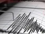 El Instituto Geológico de Estados Unidos declaró un sismo de magnitud 7.3 en la costa del suroeste de México, seguido de siete réplicas, la más grande de 6.4, sin que hasta el momento haya constancia de víctimas o daños de consideración y se haya desactivado la alerta de tsunami para México y Guatemala.