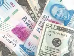 El peso cedió terreno en una jornada de relativa estabilidad, después de haber tocado más un mínimo de más dos años y tras conocer las minutas del Banxico.