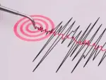 Aunque el término aparece prácticamente cada vez que ocurre un temblor, entender qué es un epicentro también ayuda a comprender por qué un movimiento puede sentirse con diferente intensidad a cientos de kilómetros de donde se originó. 

Para más información del tema, visita: https://www.eleconomista.com.mx/arteseideas/epicentro-sismo-determina-esto-debes-simulacro-nacional-20260906-832091.html

¡Síguenos en nuestras redes sociales para mantenerte informado! 

Twitter: https://twitter.com/eleconomista 
Sitio web: https://www.eleconomista.com.mx/ 
Facebook: https://www.facebook.com/ElEconomista.mx 
Instagram: https://www.instagram.com/eleconomistamx 

#ElEconomista #EETV