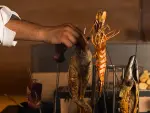 Kumoto