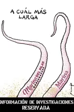 El Economista