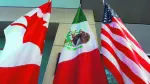 (FILES) This file photo taken on September 24, 2017 shows the Mexican, US and  Canadian flags in the lobby where the third round of the NAFTA renegotiations took place in Ottawa, Ontario.
Canada announced on January 23, 2018 it will sign on the Trans Pacific Partnership, moving to diversify its trade relationships  as Canadian, US and Mexican negotiators kicked off a sixth round of talks on a 1994 free trade pact that Washington has threatened to dump. Canada had initially balked at joining the proposed TPP last year, acting as the main holdout in negotiations after US President Donald Trump decided in early 2017 to go it alone under his "America First" policy.
 / AFP PHOTO / Lars Hagberg