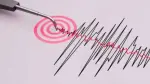La tarde de este domingo se activó la alerta sísmica en altavoces de Ciudad de México y celulares. 

Para más información del tema, visita: https://www.eleconomista.com.mx/politica/activa-alerta-sismica-mangnitud-preliminar-5-7-grados-epicentro-puerto-escondido-oaxaca-20260208-798906.html

¡Síguenos en nuestras redes sociales para mantenerte informado!

Twitter: https://twitter.com/eleconomista 
Facebook: https://www.facebook.com/ElEconomista.mx
Instagram: https://www.instagram.com/eleconomistamx
LinkedIn: https://www.linkedin.com/company/el-economista/


#ElEconomista #EETV #AlertaSísmica #Sismo #Temblor
