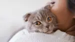 Convivir con un gato puede reducir el estrés, la ansiedad y la tristeza.