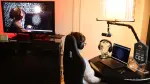 La aplicación Prime muestra una representación del enfoque cerebral como un patrón de puntos .