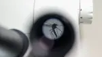 Un caso de infección por el virus del Nilo Occidental se ha detectado en Países Bajos por primera vez desde 2020, informó este lunes el Instituto Nacional de Salud Pública y Medio Ambiente del país.

Para más información del tema, visita: https://www.eleconomista.com.mx/internacionales/paises-bajos-registra-primer-caso-6-anos-infeccion-virus-nilo-occidental-20260817-828614.html 

Twitter: https://twitter.com/eleconomista 
Sitio web: https://www.eleconomista.com.mx/ 
Facebook: https://www.facebook.com/ElEconomista.mx 
Instagram: https://www.instagram.com/eleconomistamx 

#ElEconomista #EETV #Geopolitica
