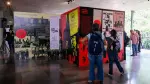 Aspecto general de la muestra.