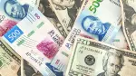 El peso pierde terreno ante un avance del dólar, presionado por las expectativas de que el banco central mantendría sin cambios su tasa de interés el jueves.

Para más información del tema, visita: https://www.eleconomista.com.mx/mercados/precio-dolar-hoy-22-septiembre-2026-cuanto-cotiza-20260922-834701.html

¡Síguenos en nuestras redes sociales para mantenerte informado! 

Twitter: https://twitter.com/eleconomista 
Sitio web: https://www.eleconomista.com.mx/ 
Facebook: https://www.facebook.com/ElEconomista.mx 
Instagram: https://www.instagram.com/eleconomistamx 

#ElEconomista #EETV #Mercados
