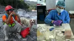 Tras semanas de búsqueda de cuerpos, autoridades de Nepal ahora se concentran en identificar por medio de ADN a las víctimas no identificadas.