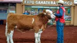Expo Ganadera 2026 en Jalisco.