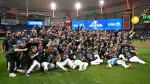 Las Manta Rayas de Tampa Bay enfrentará a Milwaukee Brewers en la Serie Mundial. Foto: Reuters