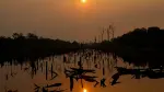 La puesta de sol es visible a través del humo de los incendios forestales en la selva amazónica.